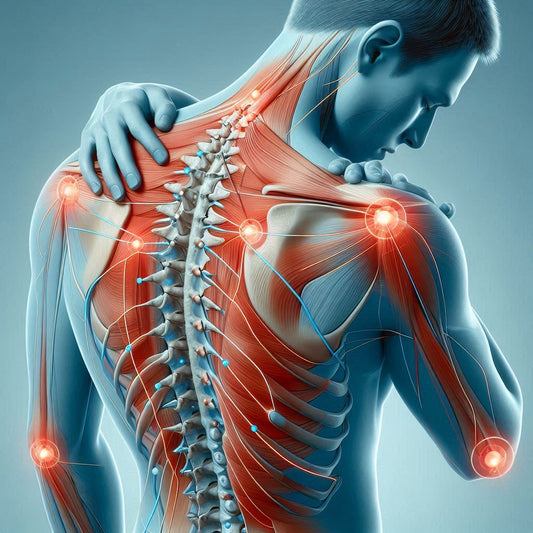 肩こりの原因と指圧鍼灸の効果